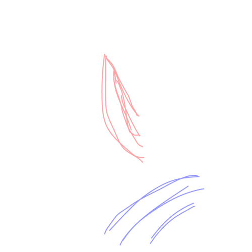 An overlay of cat whiskers drawn over the picture of Fahim